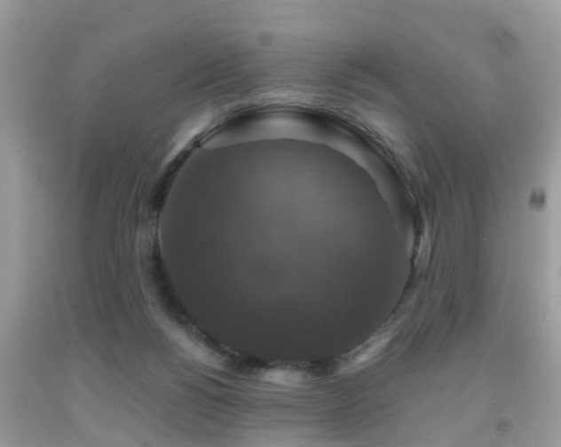 X0000091960168200709061308