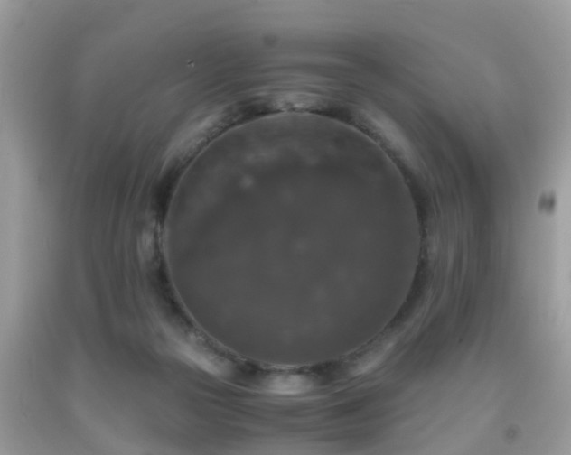 X0000091960169200709061308