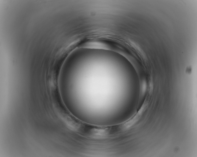 X0000091960170200709061308