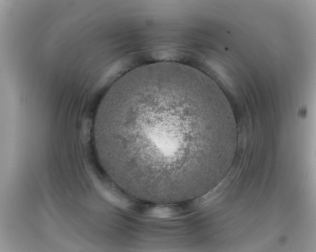 X0000091960171200709061308