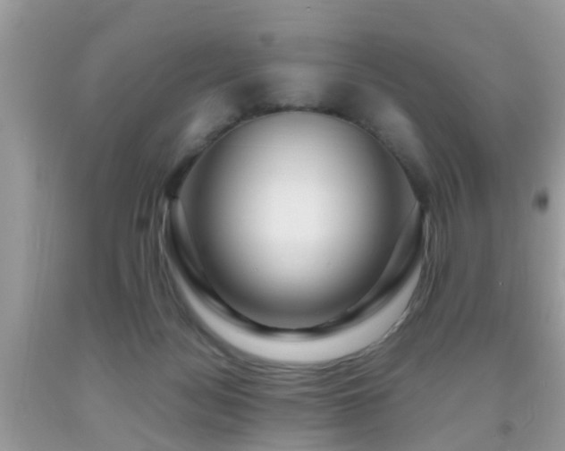 X0000091960172200709061308