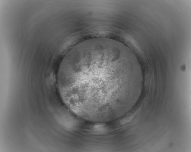 X0000091960173200709061308