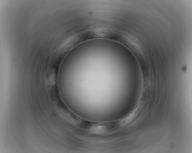 X0000091960174200709061308