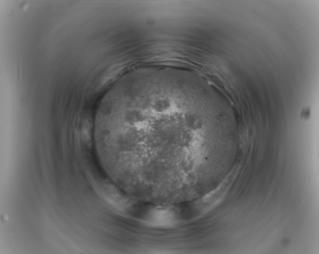 X0000091960175200709061308