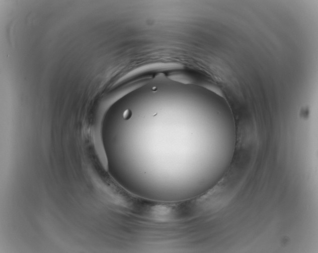 X0000091960176200709061308