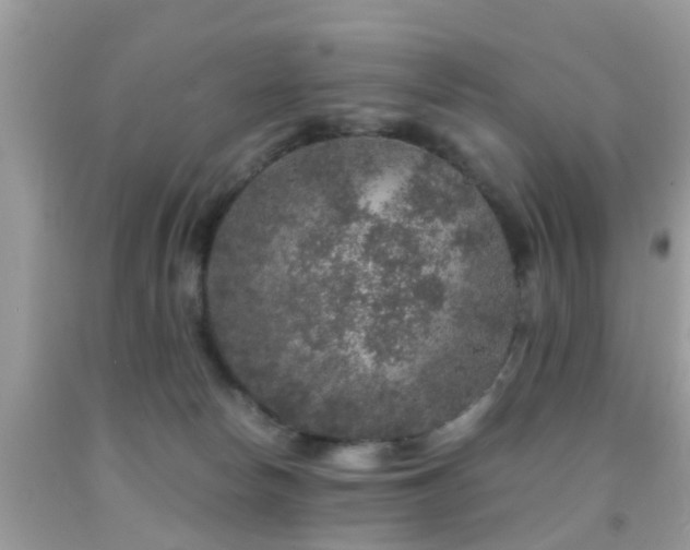 X0000091960178200709061308