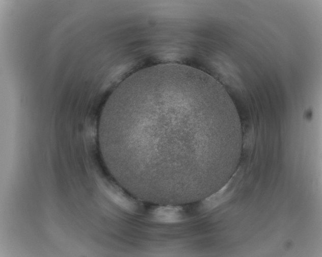 X0000091960179200709061309