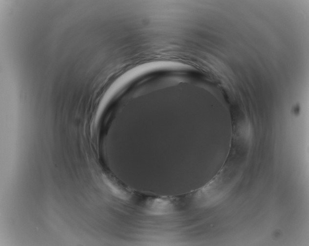 X0000091960180200709061309