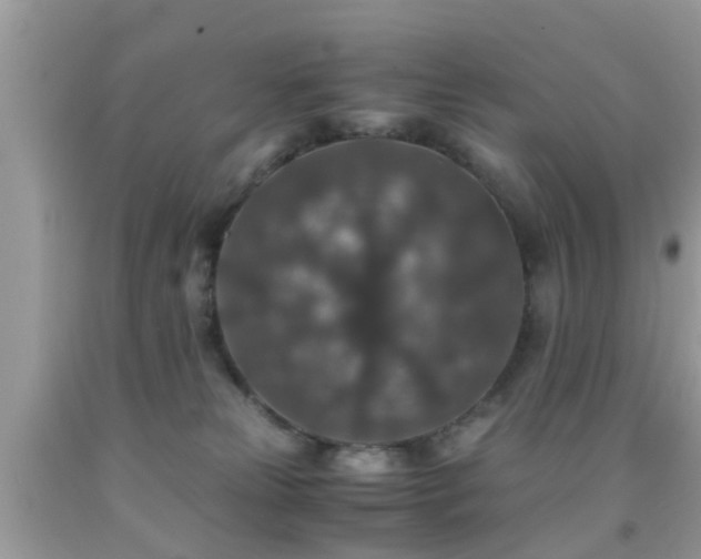 X0000091960181200709061309