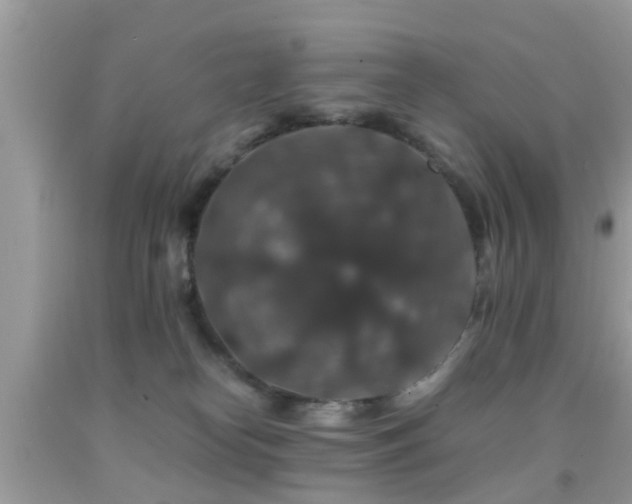 X0000091960182200709061309