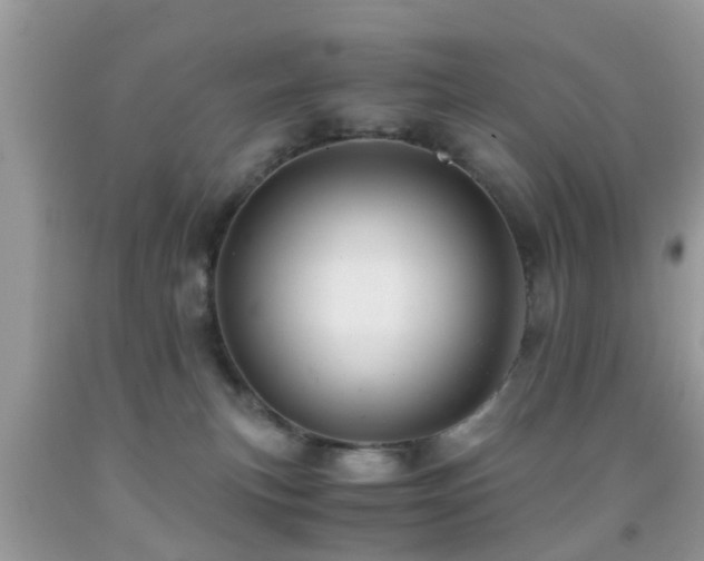 X0000091960183200709061309