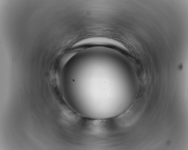 X0000091960184200709061309