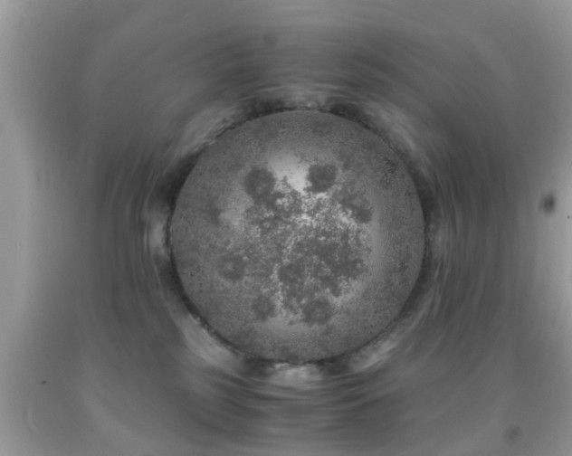 X0000091960185200709061309