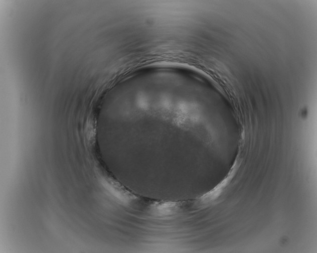 X0000091960186200709061309