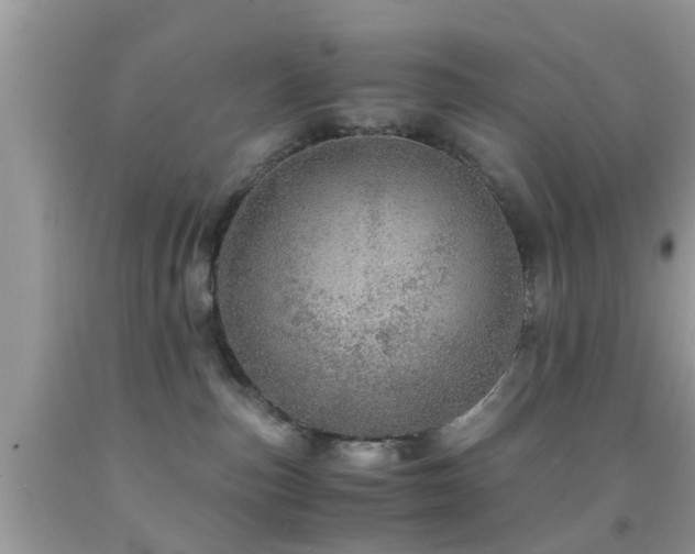 X0000091960187200709061309