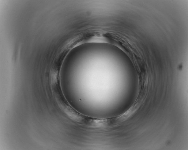 X0000091960188200709061309