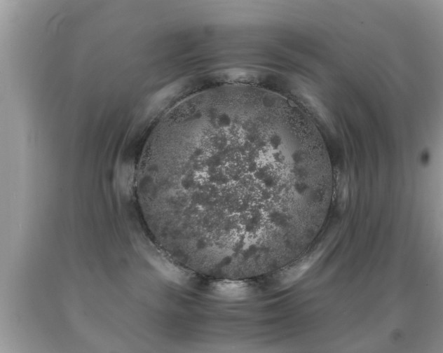 X0000091960189200709061309