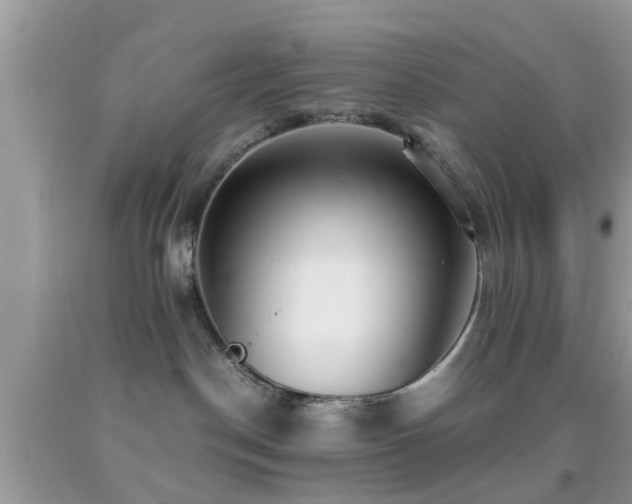 X0000091960190200709061309