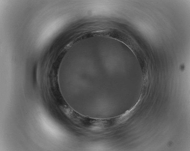 X0000091960191200709061309