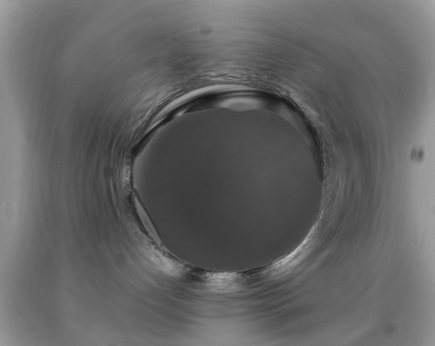 X0000091960192200709061309