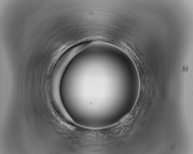 X0000091960193200709061308