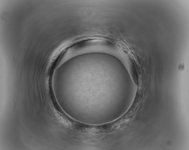 X0000091960197200709061308