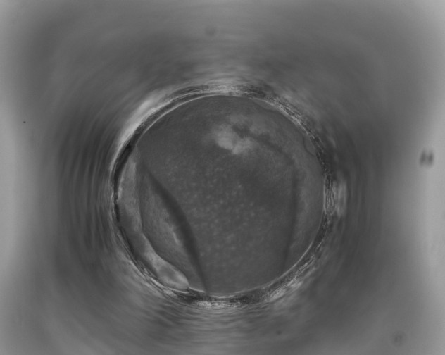 X0000091960198200709061308