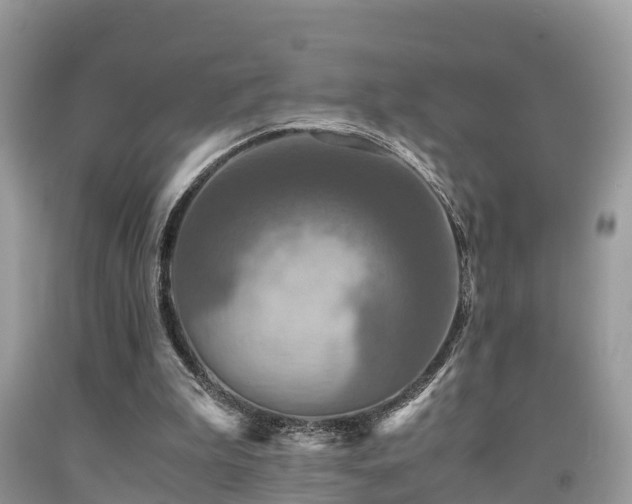 X0000091960199200709061308