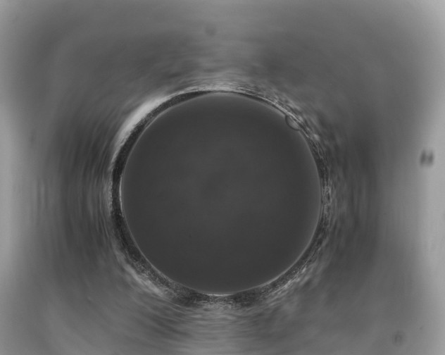 X0000091960200200709061308