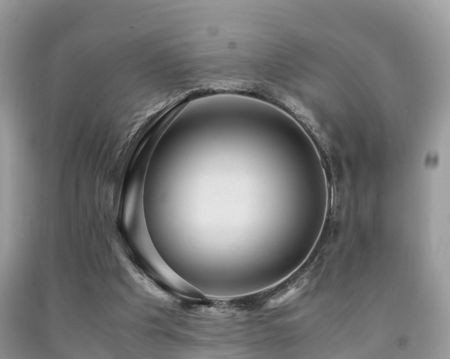 X0000091960201200709061308