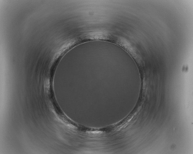 X0000091960202200709061308