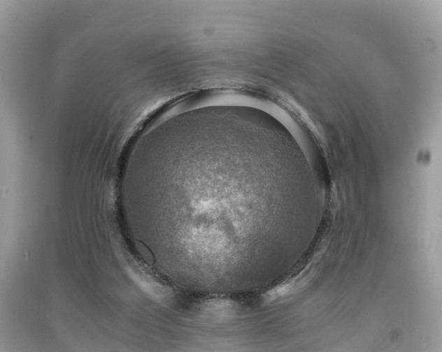 X0000091960203200709061308