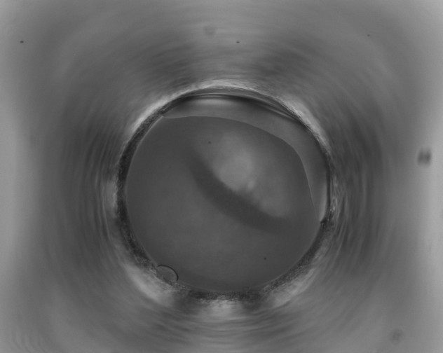 X0000091960204200709061308