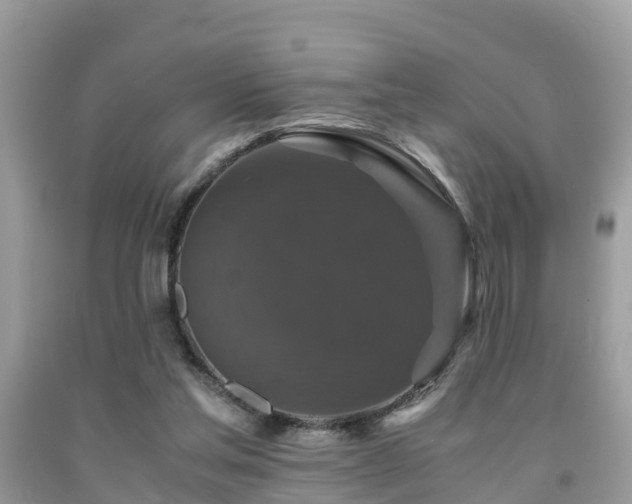 X0000091960205200709061308