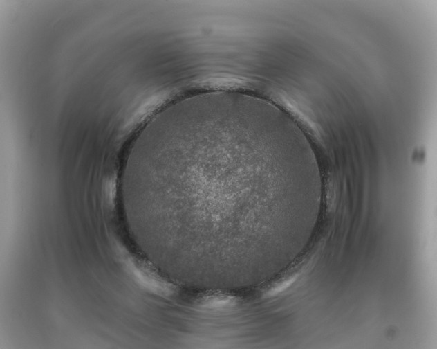 X0000091960206200709061308