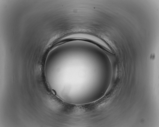 X0000091960207200709061308