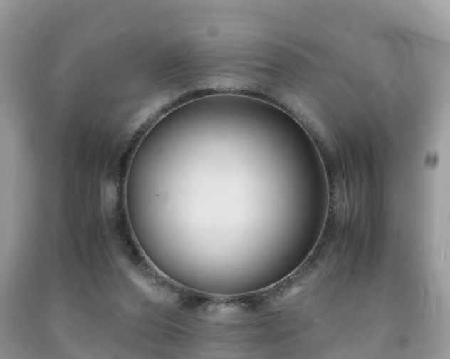 X0000091960208200709061308