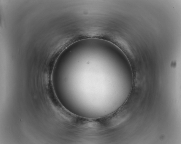 X0000091960210200709061308