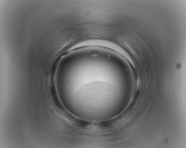 X0000091960211200709061308