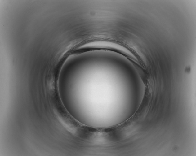 X0000091960212200709061308