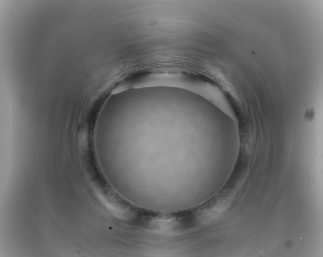 X0000091960213200709061308