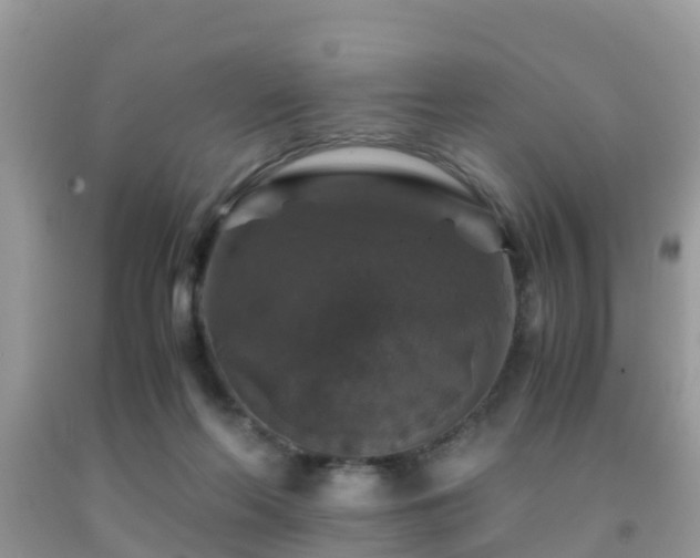 X0000091960214200709061308