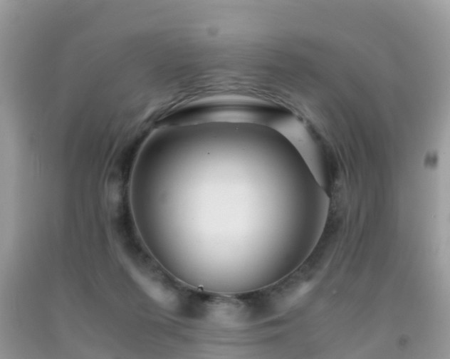 X0000091960215200709061308