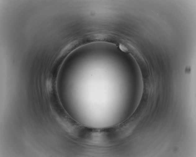 X0000091960216200709061308