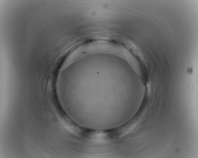 X0000091960217200709061308