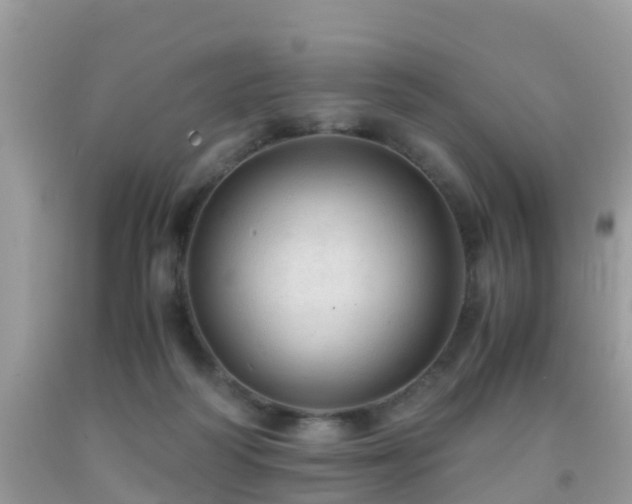 X0000091960218200709061308