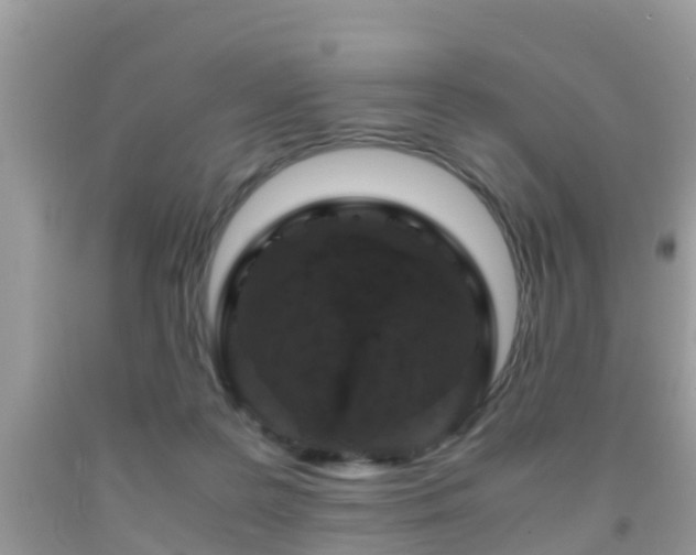 X0000091960219200709061308