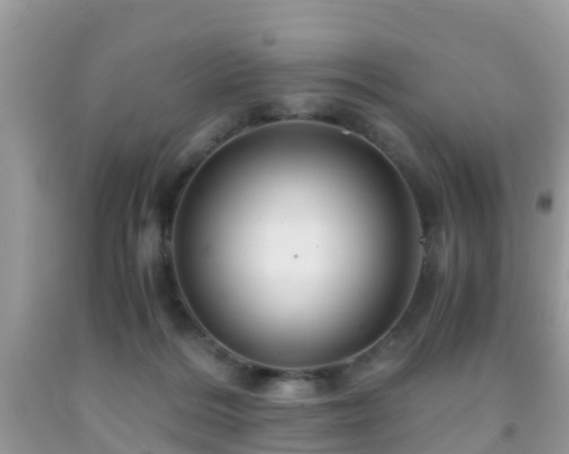 X0000091960220200709061308