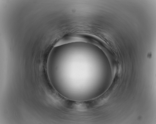 X0000091960221200709061308