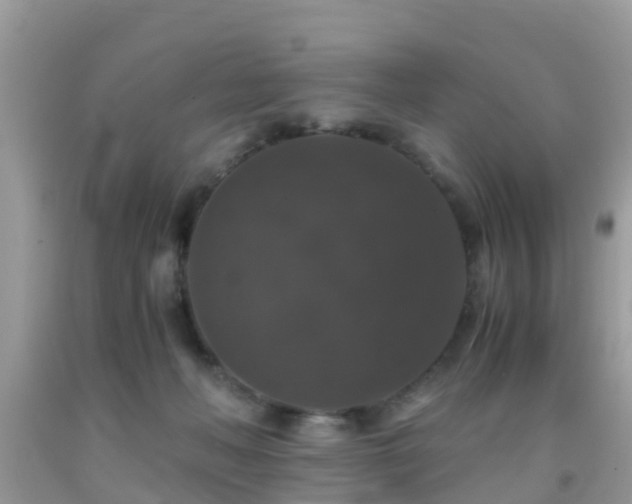 X0000091960222200709061308